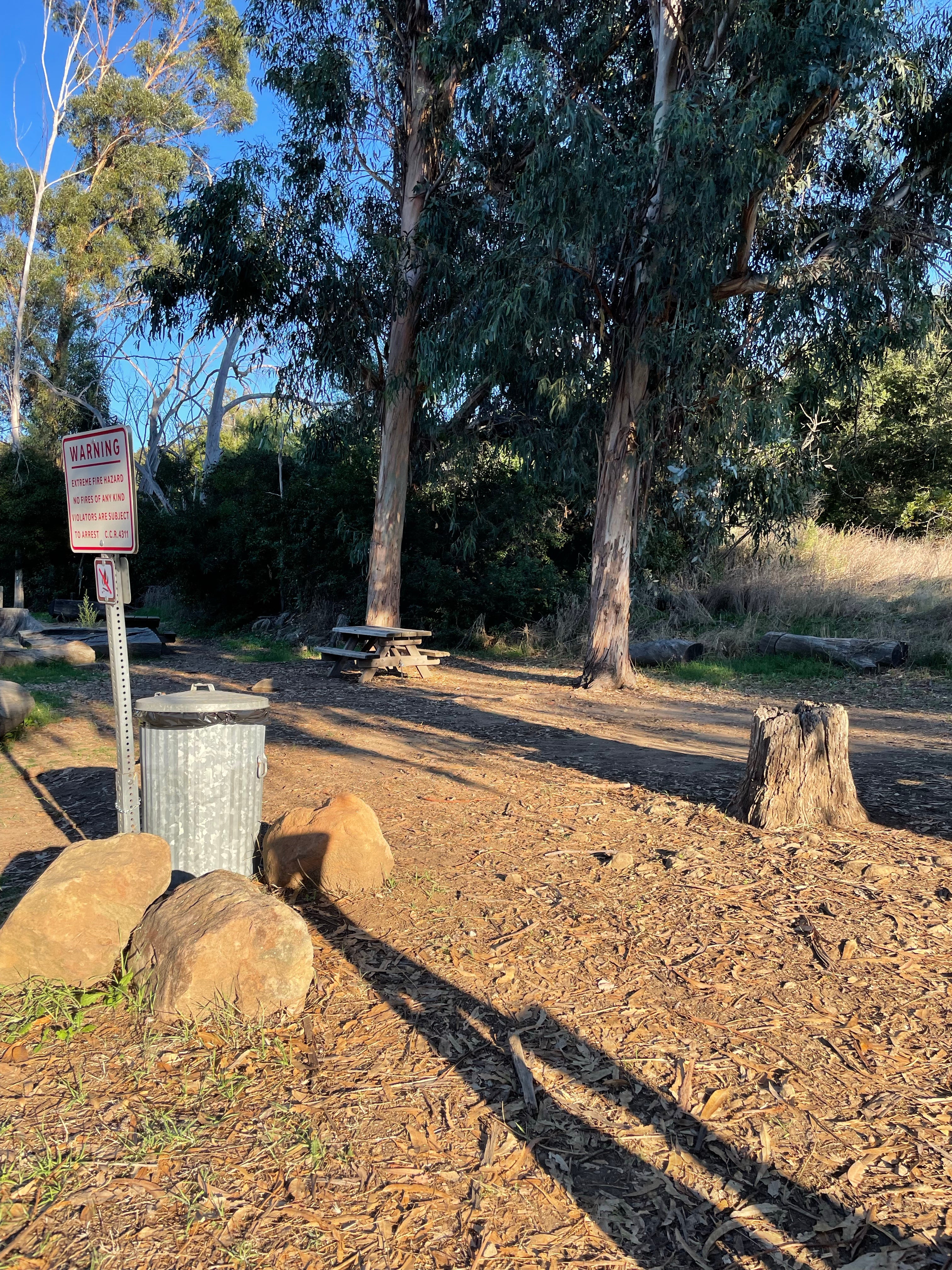 Camper submitted image from Musch Trail Camp — Topanga State Park - 4