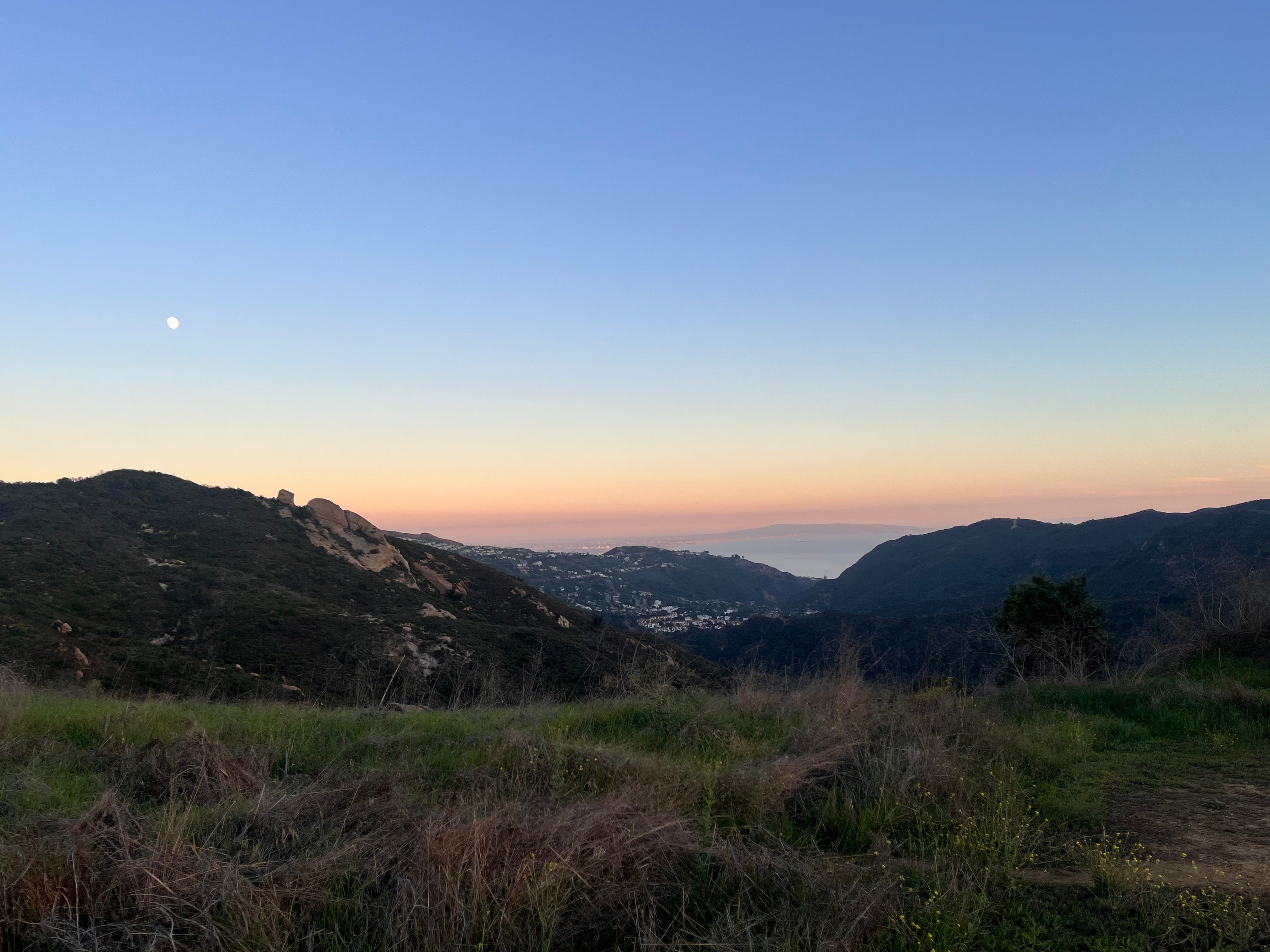 Camper submitted image from Musch Trail Camp — Topanga State Park - 3
