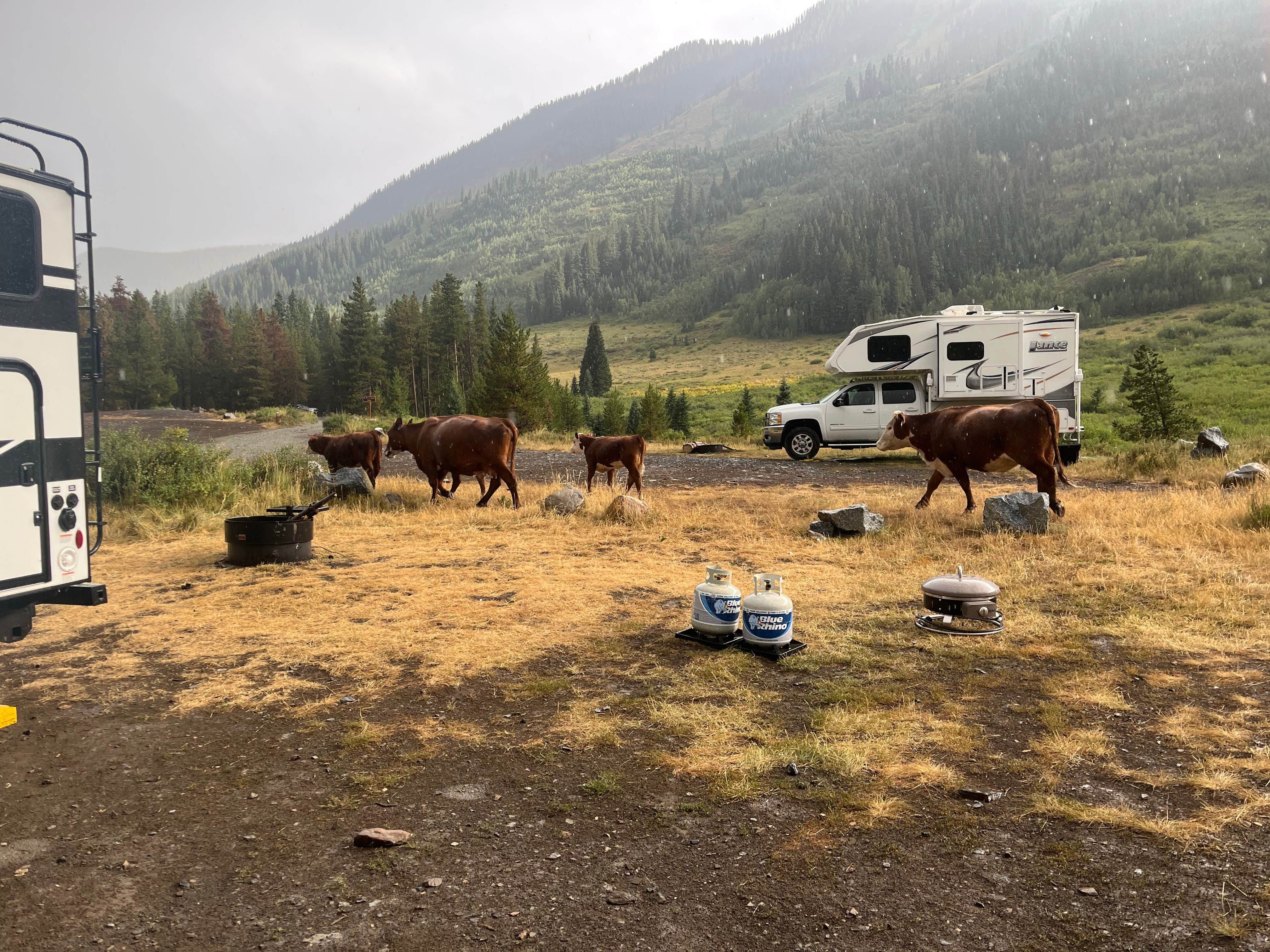 Camper-submitted photo at Musician's Camp near Crested Butte, CO