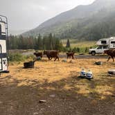 Review photo of Musician's Camp by Sammantha T., August 14, 2025