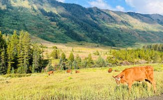 Sammantha T.'s photo of camping with a horse at Musician's Camp in Colorado