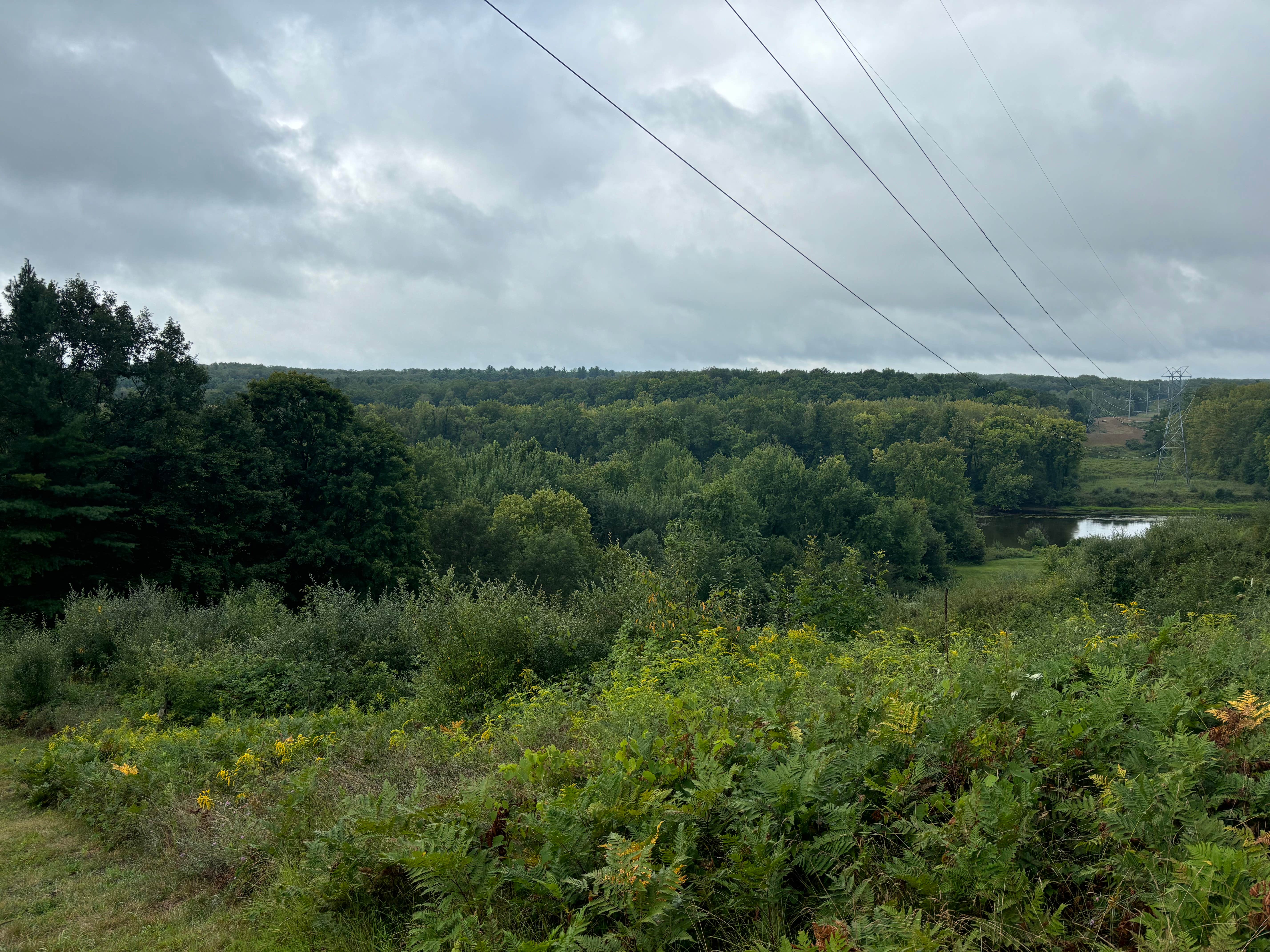 Camper submitted image from Muskegon River Campground - 3