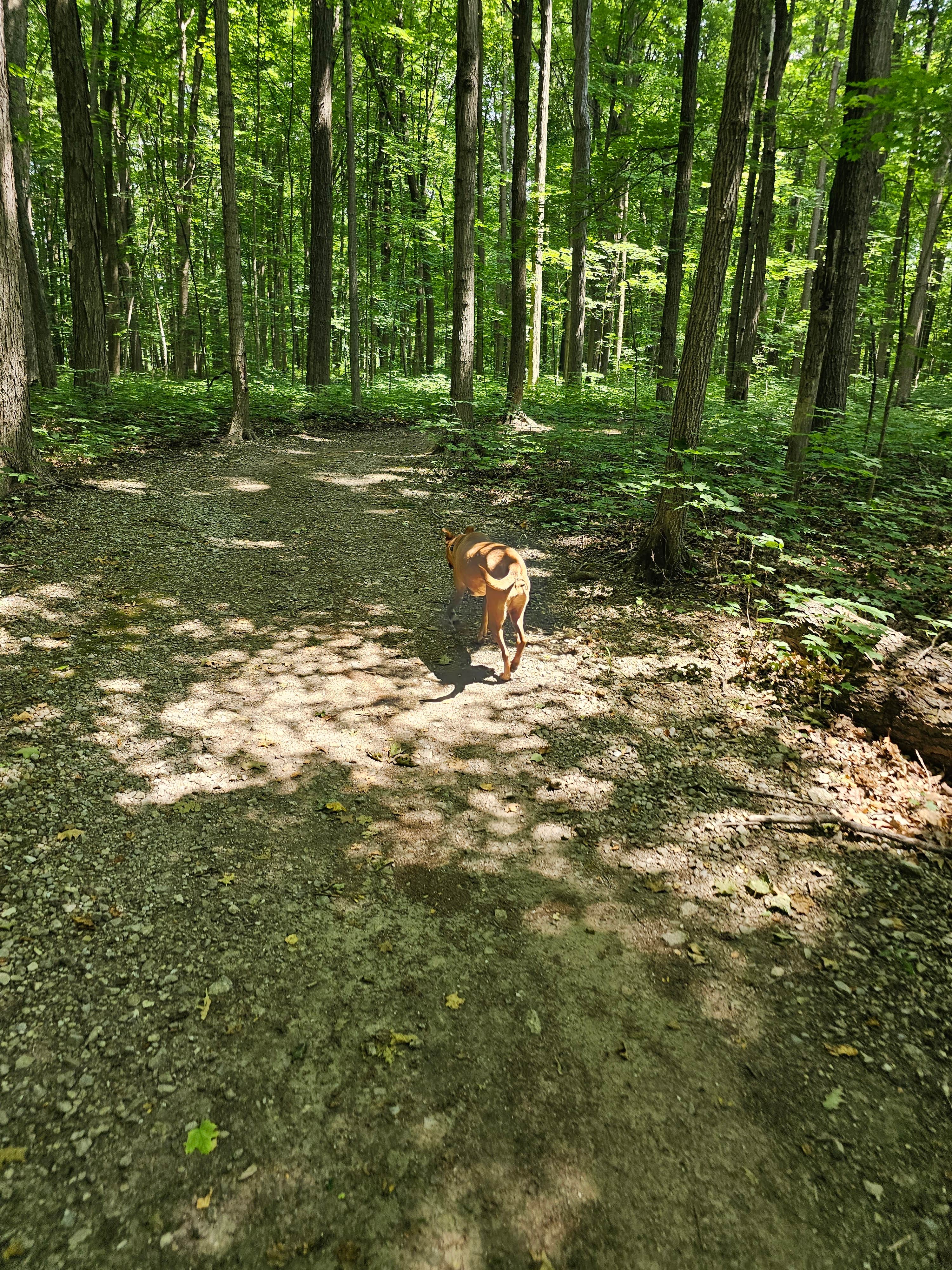 Camper-submitted photo at Muskegon River Canoe Camp near Cadillac, MI