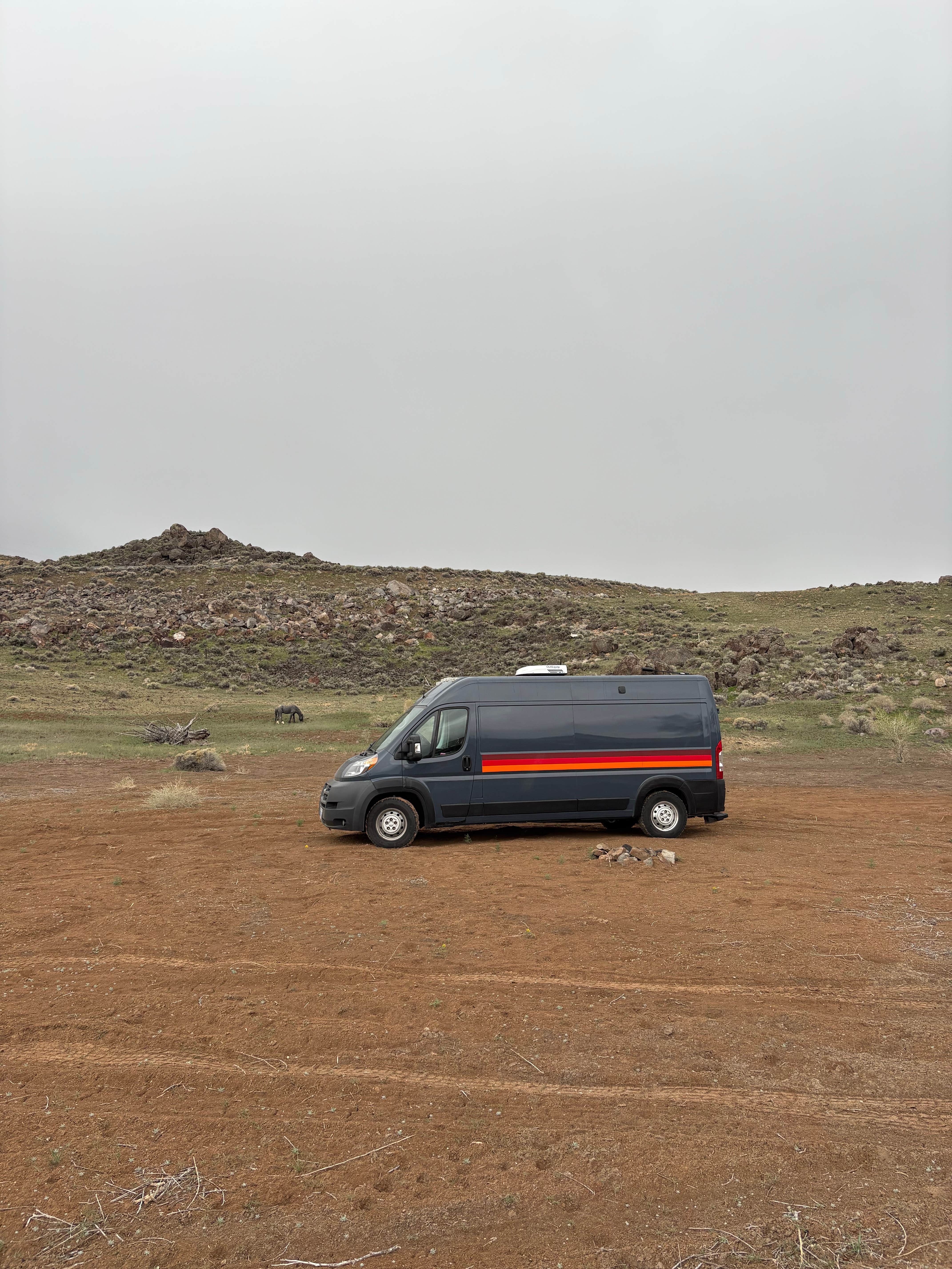 mustang rd dispersed