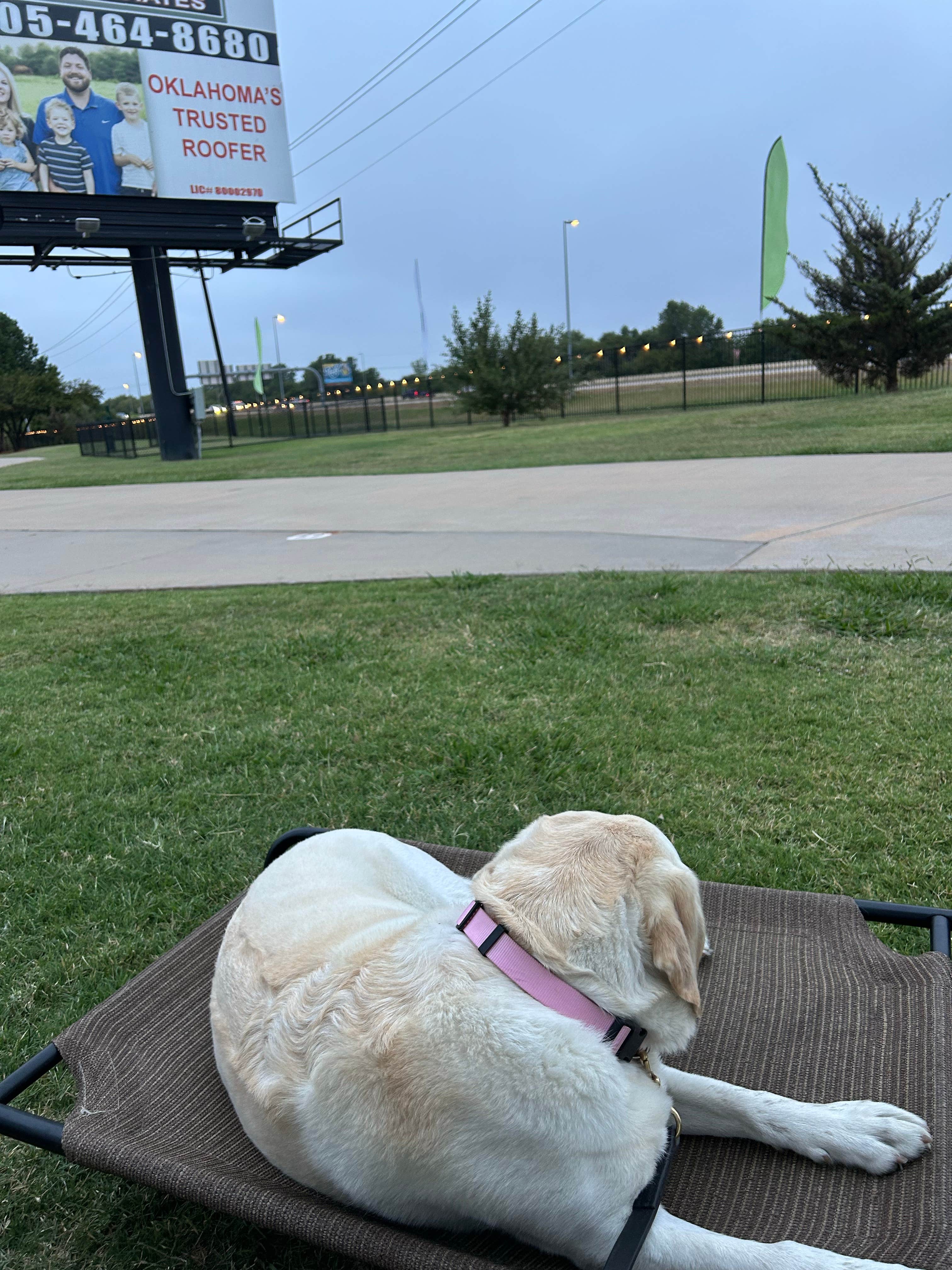 Brenda L.'s photo of camping with pets at Mustang Run RV Park near Choctaw, OK