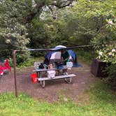 Review photo of Mt Pisgah Campground — Blue Ridge Parkway by Angie A., July 13, 2025