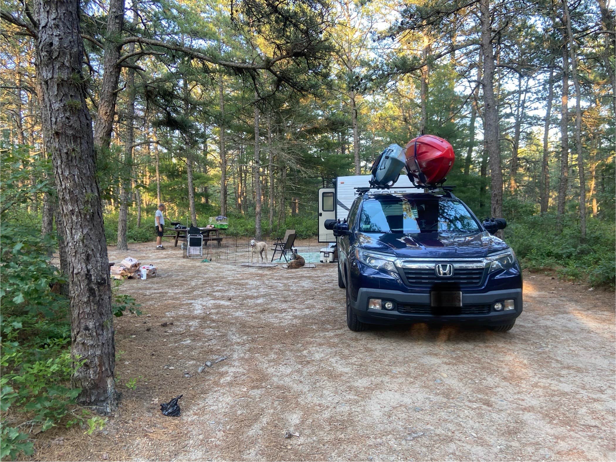 Amie C.'s photo of camping with pets at Charge Pond Campground — Myles Standish State Forest near Fall River, MA