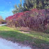 Review photo of White Fox Campground — Myre-Big Island State Park by Janel G., October 10, 2026