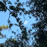 Review photo of Myrtle Beach KOA by lynn V., June 29, 2026