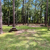 Review photo of Myrtle Beach KOA by Michelle S., September 10, 2023