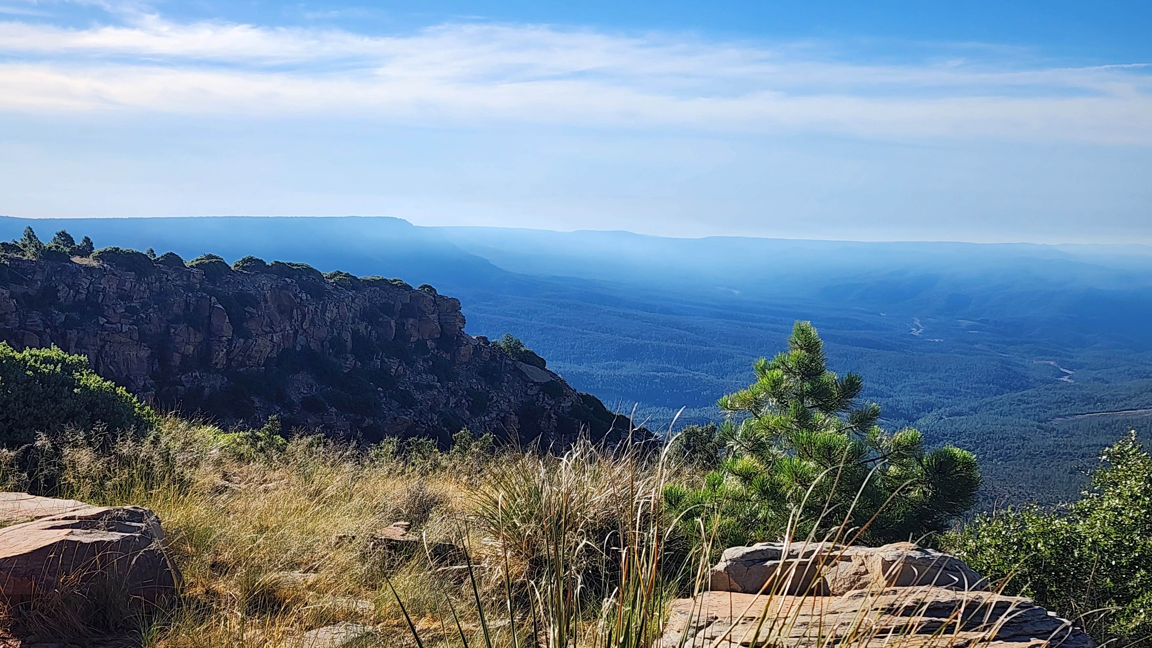 Perry B.'s photo of a dispersed camping area at Myrtle Point near Heber-Overgaard, AZ