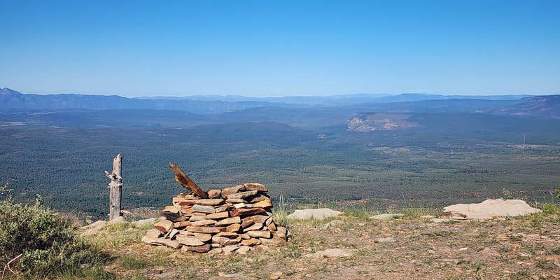 Camper submitted image from Myrtle Point