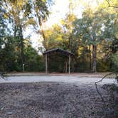 Review photo of Mystic Springs Recreation Area by Richard A., November 12, 2025