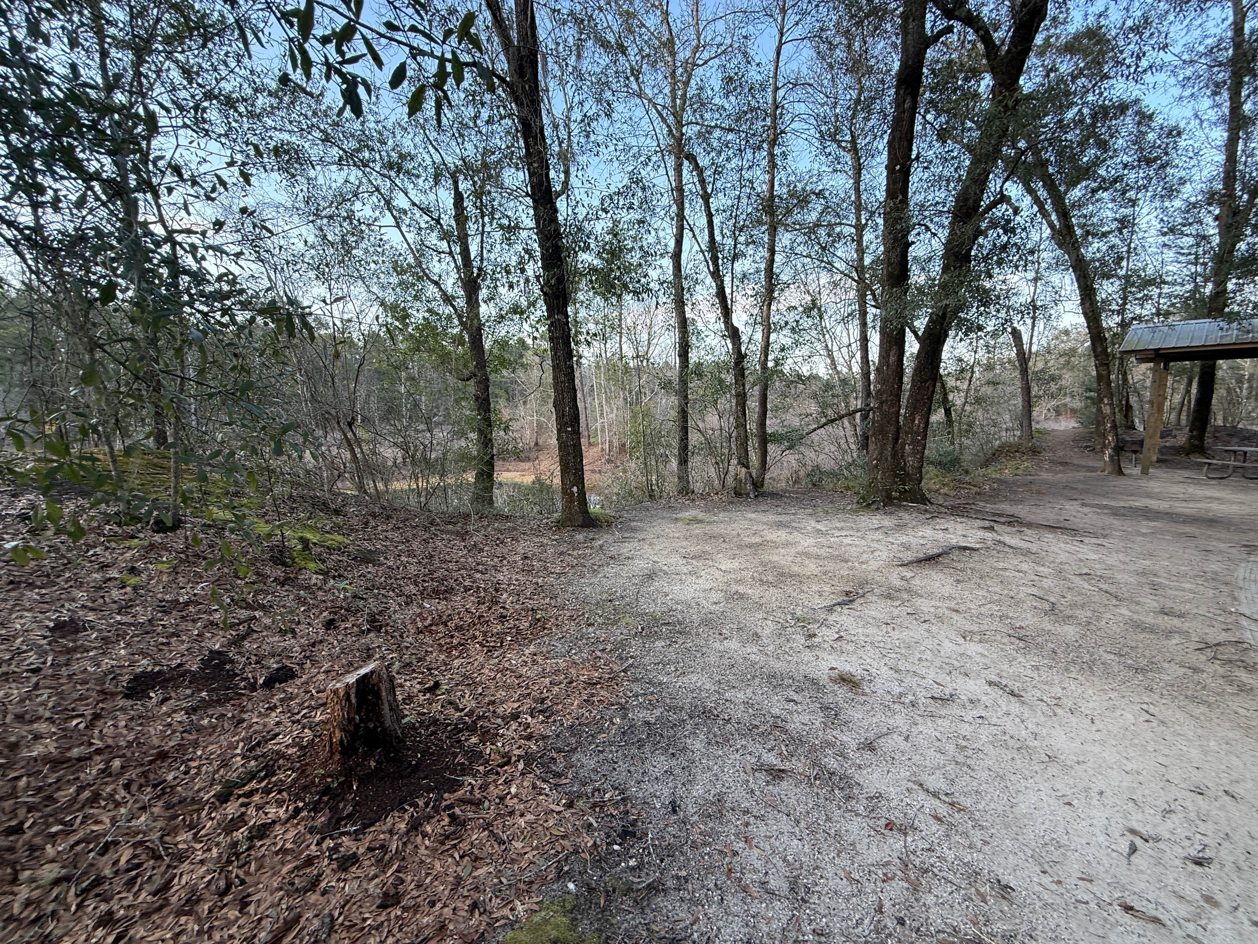 Camper-submitted photo at Mystic Springs near Gulf Islands National Seashore