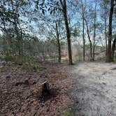 Review photo of Mystic Springs by Rick V., March 1, 2026