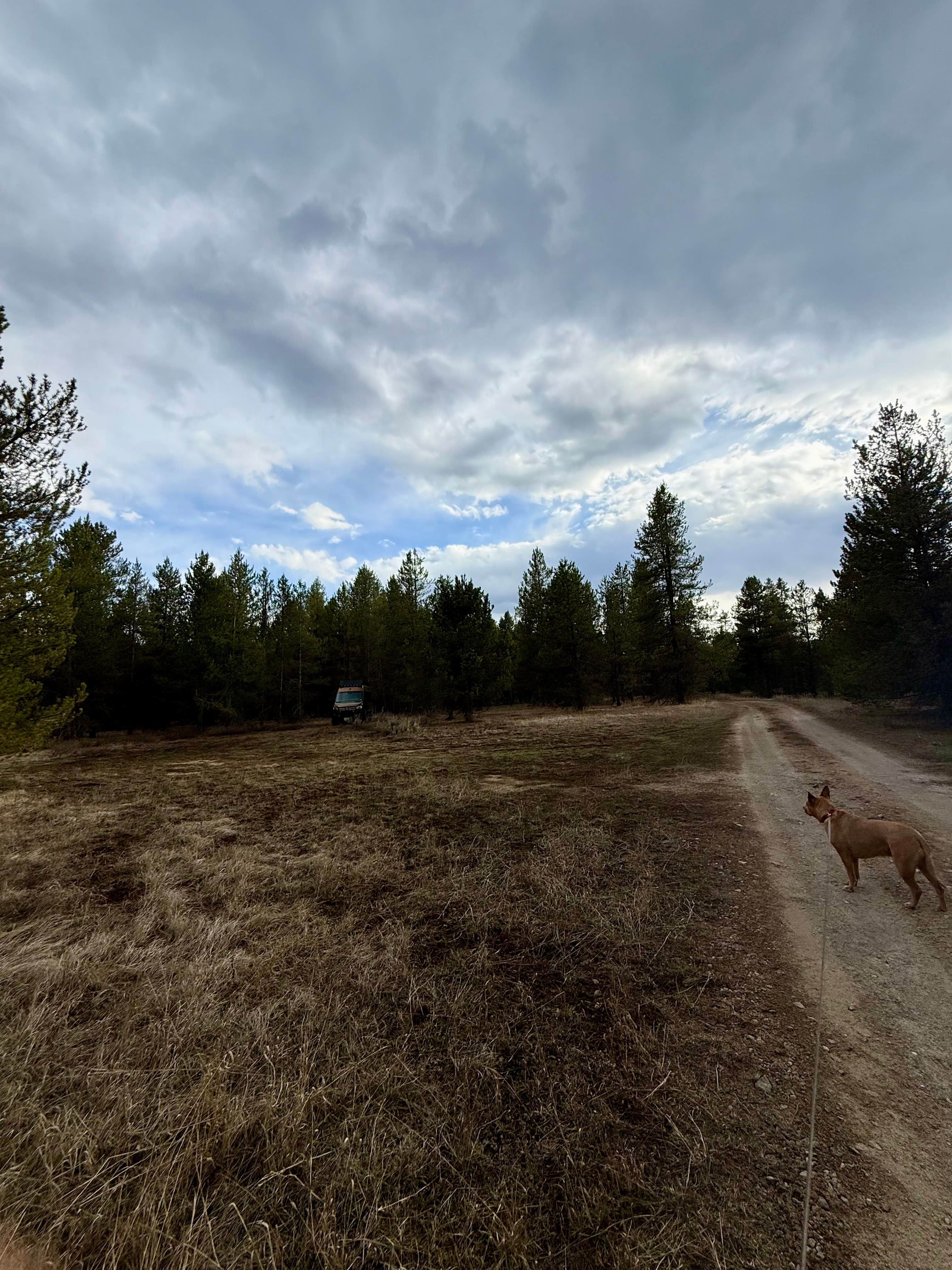 N Antelope Flat Rd Dispersed Camping