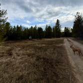 Review photo of N Antelope Flat Rd Dispersed Camping by Clare G., April 7, 2026