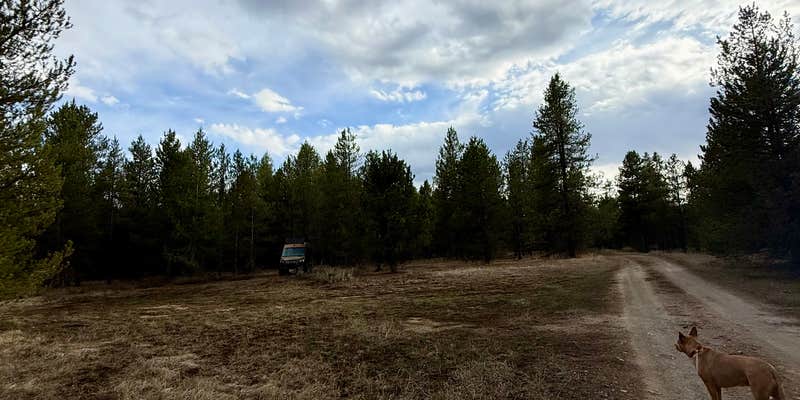 Camper submitted image from N Antelope Flat Rd Dispersed Camping