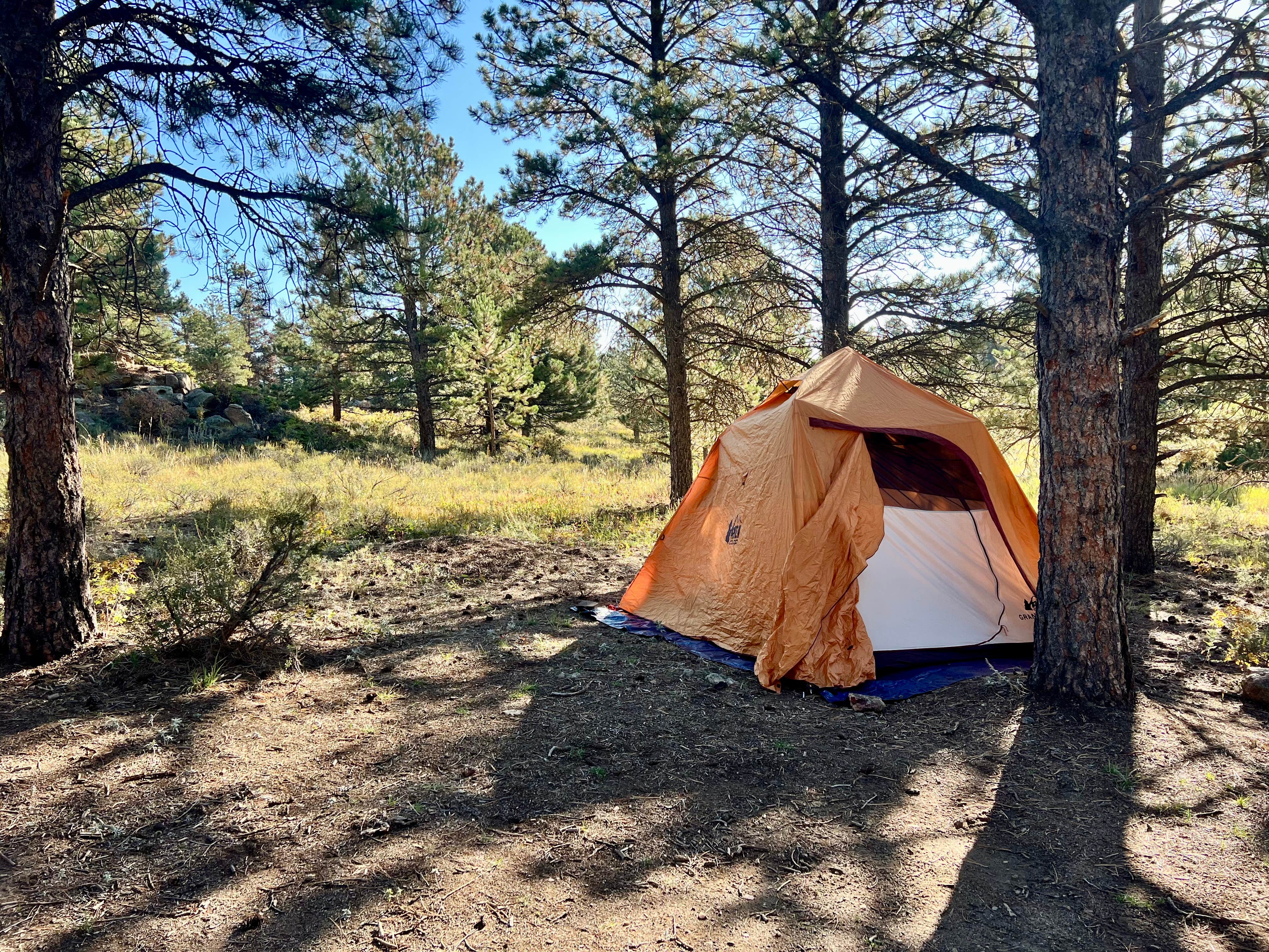 Rachel S.'s photo of tent camping at N Boulder Creek Dispersed Camping near Boulder, CO