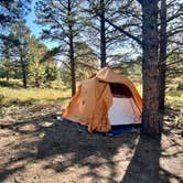 Review photo of N Boulder Creek Dispersed Camping by Rachel S., September 28, 2025