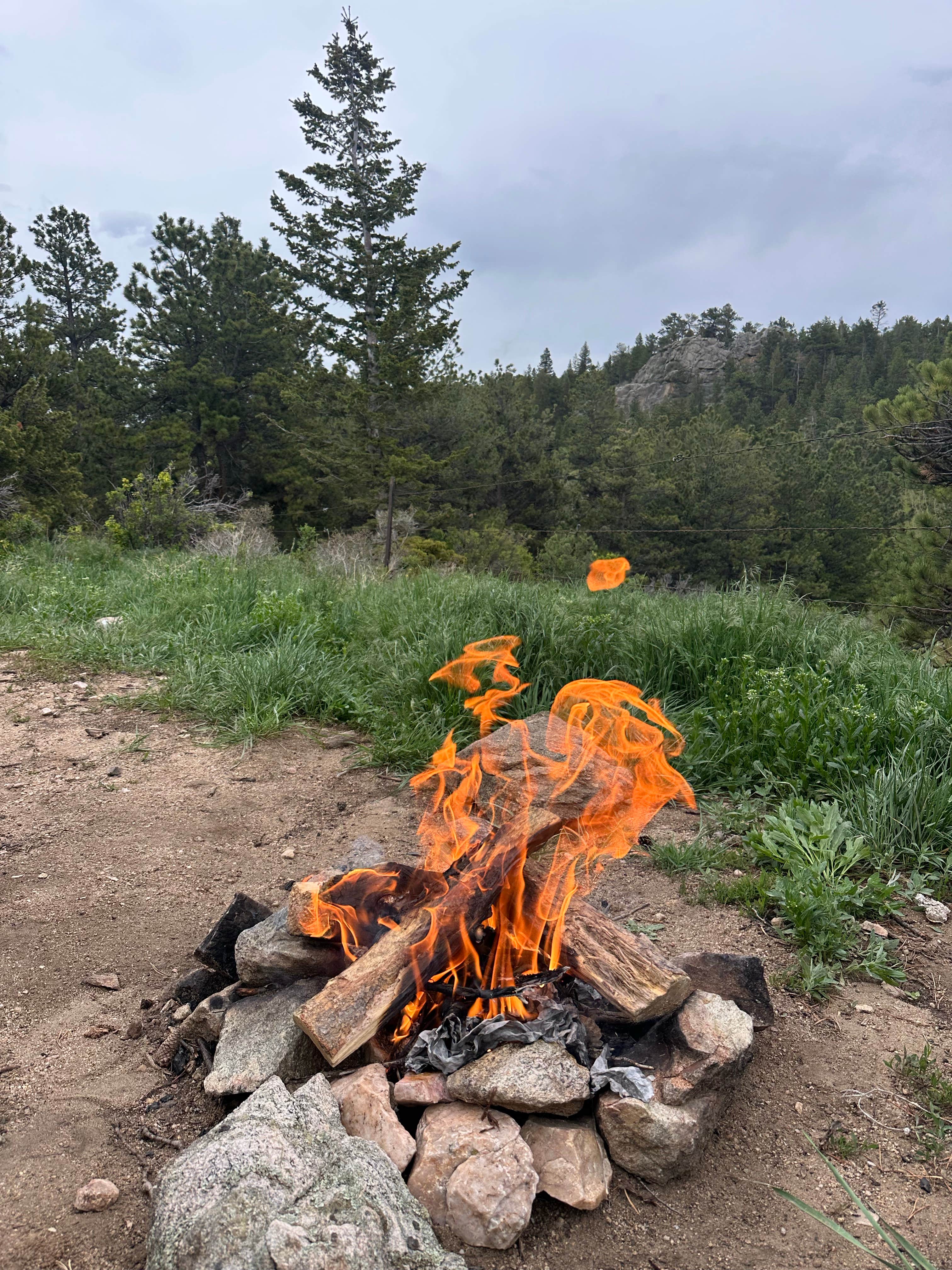Camper submitted image from N Boulder Creek Dispersed Camping - 1