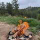 N Boulder Creek Dispersed Camping