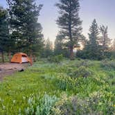 Review photo of North Boulder Creek Dispersed Camping by Rachel S., September 26, 2025