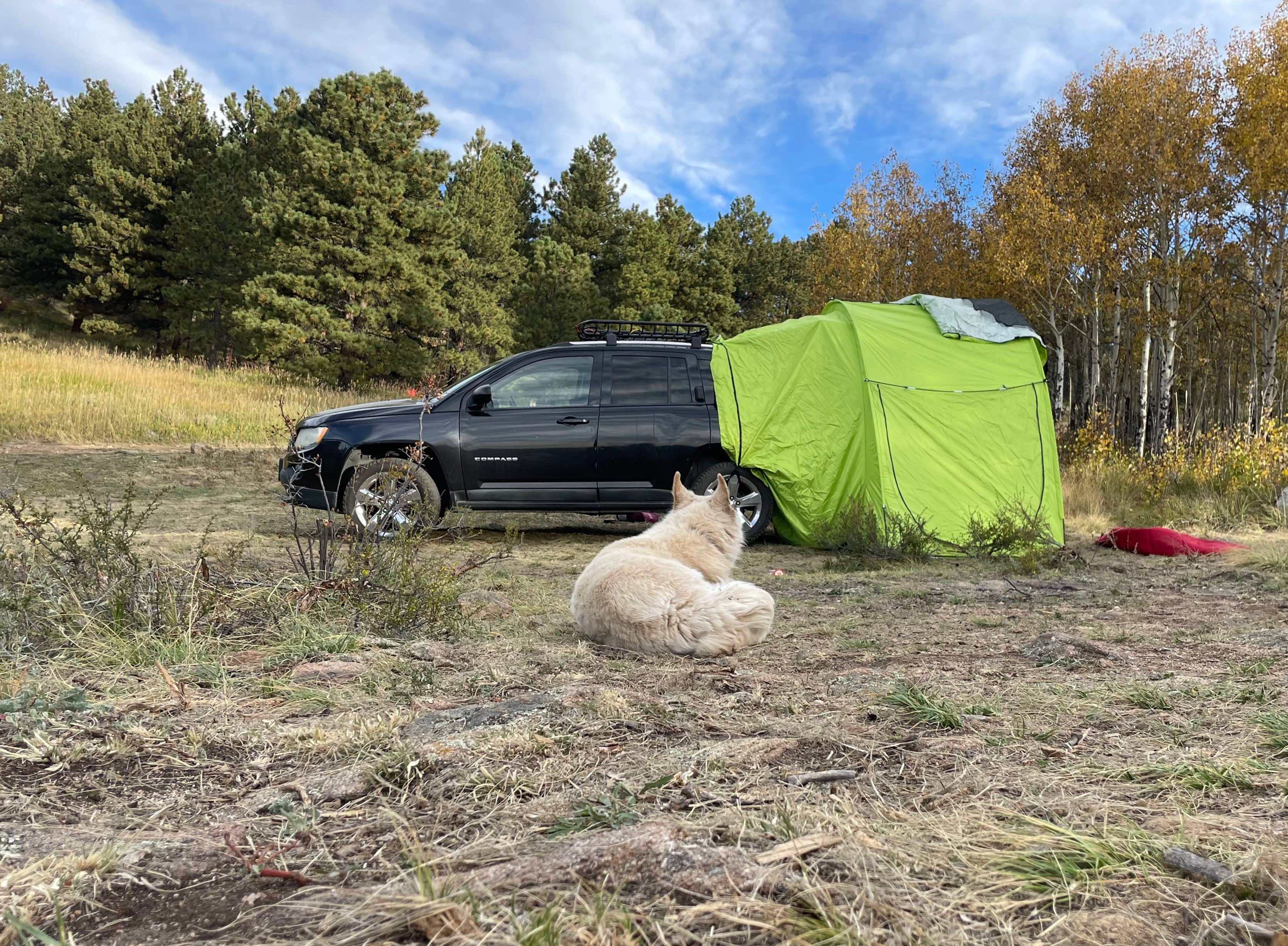 Camping near Forest Road 332 Dispersed: North Boulder Creek Dispersed Camping, Nederland, Colorado