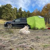 Review photo of North Boulder Creek Dispersed Camping by Lexi H., October 2, 2023