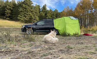 Lexi H.'s photo at North Boulder Creek Dispersed Camping near Nederland, CO