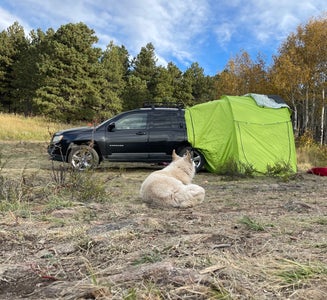 Camper-submitted photo from North Boulder Creek Dispersed Camping 