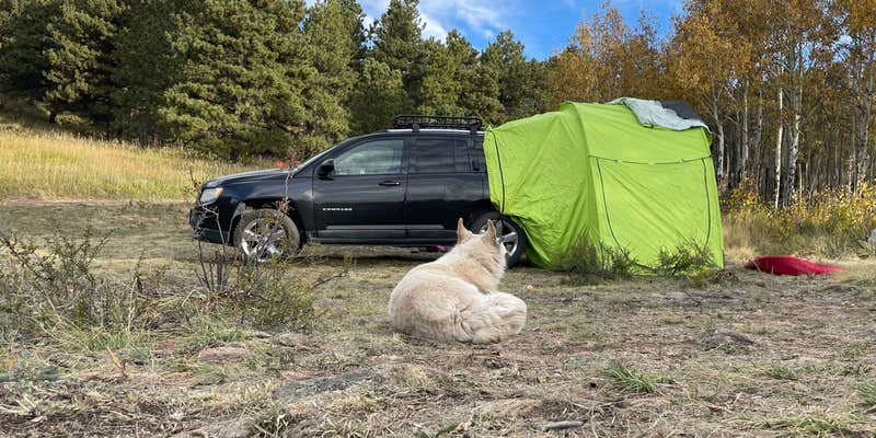 Camper submitted image from North Boulder Creek Dispersed Camping