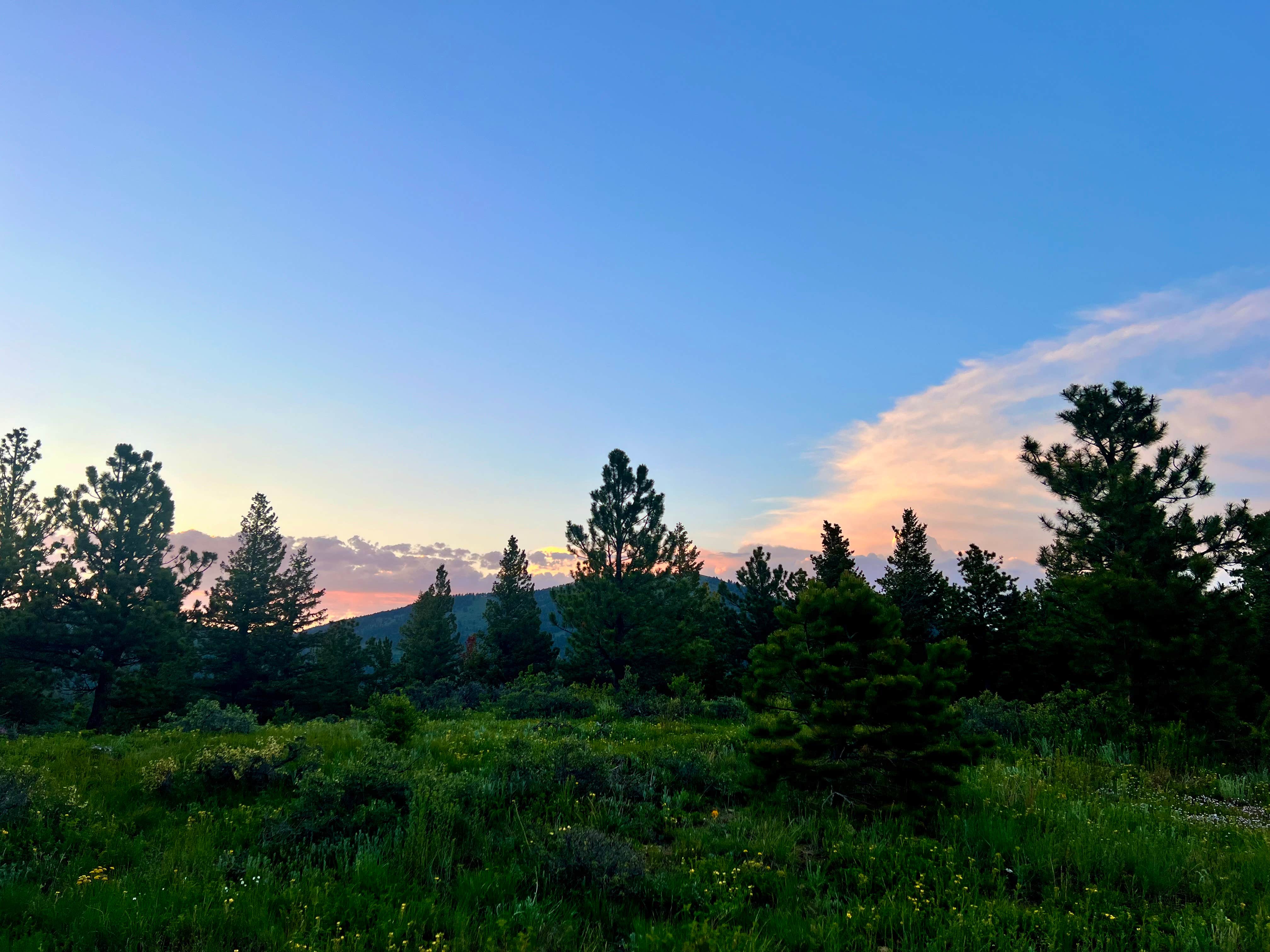 Camper-submitted photo at North Boulder Creek Dispersed Camping near Arvada, CO