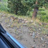 Review photo of North Boulder Creek Dispersed Camping by Ben H., August 5, 2024