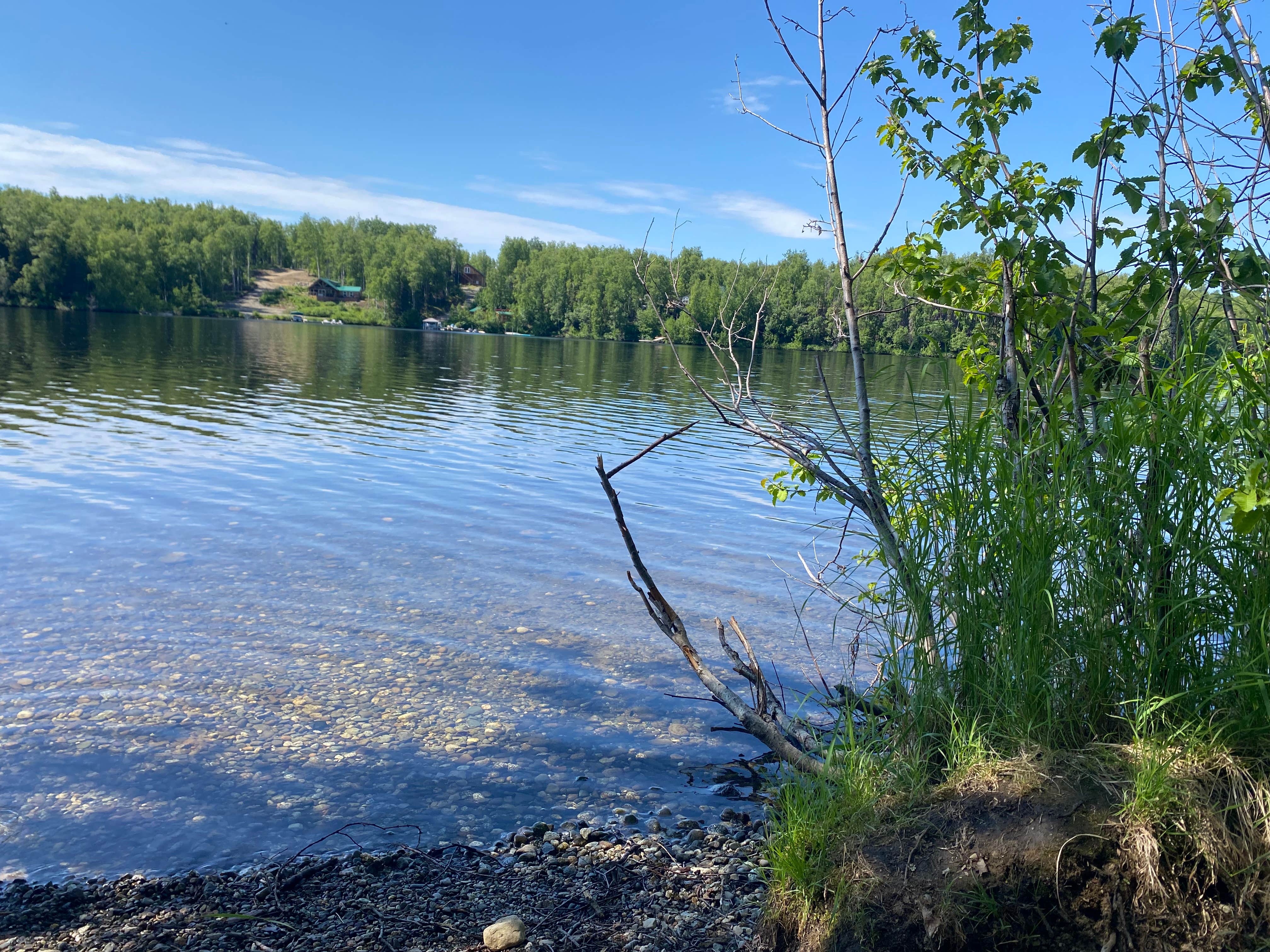 Camper-submitted photo at Nancy Lake State Recreation Site Campground near Talkeetna, AK