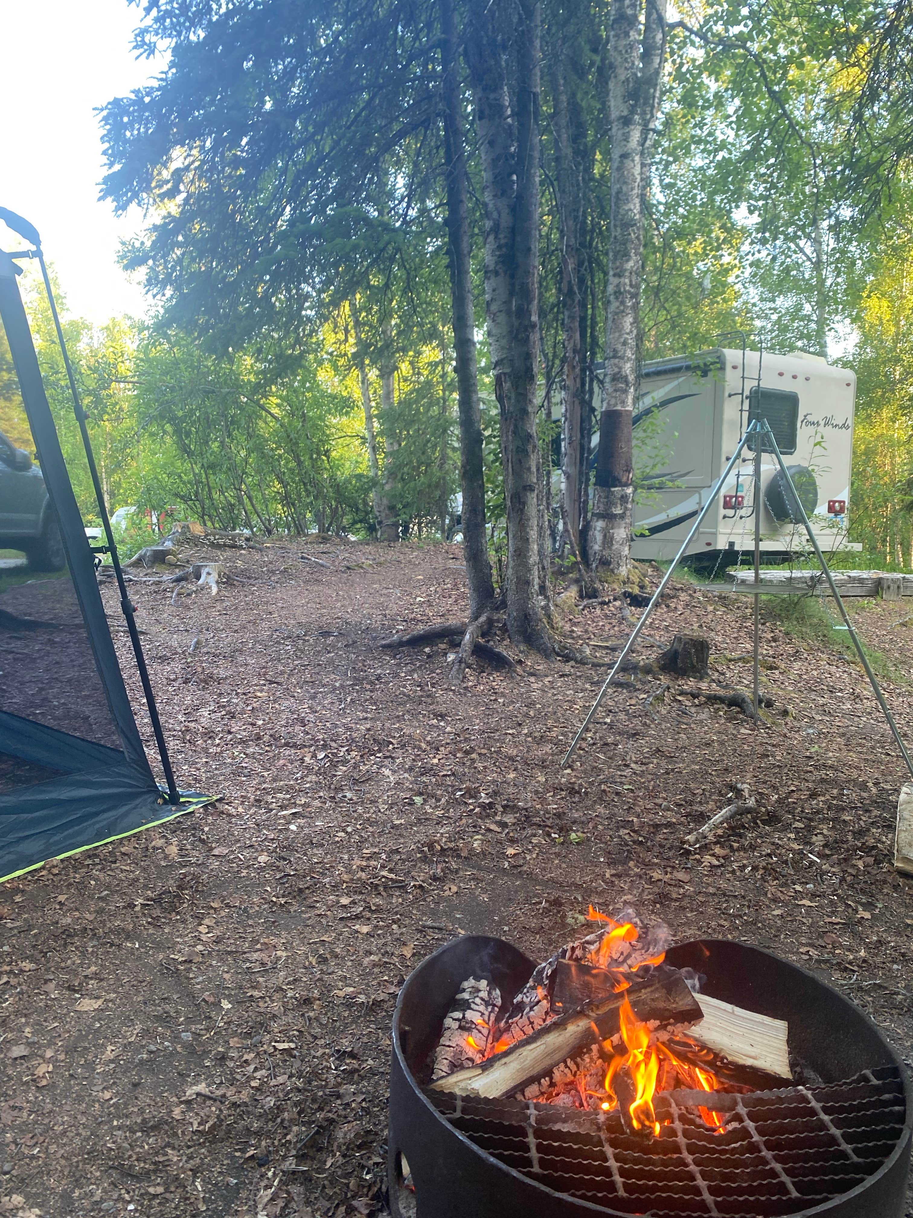 Camper-submitted photo at Nancy Lake State Recreation Site Campground near Talkeetna, AK