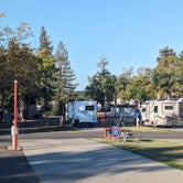 Review photo of Napa Valley Expo RV Park by Kristi D., October 19, 2023