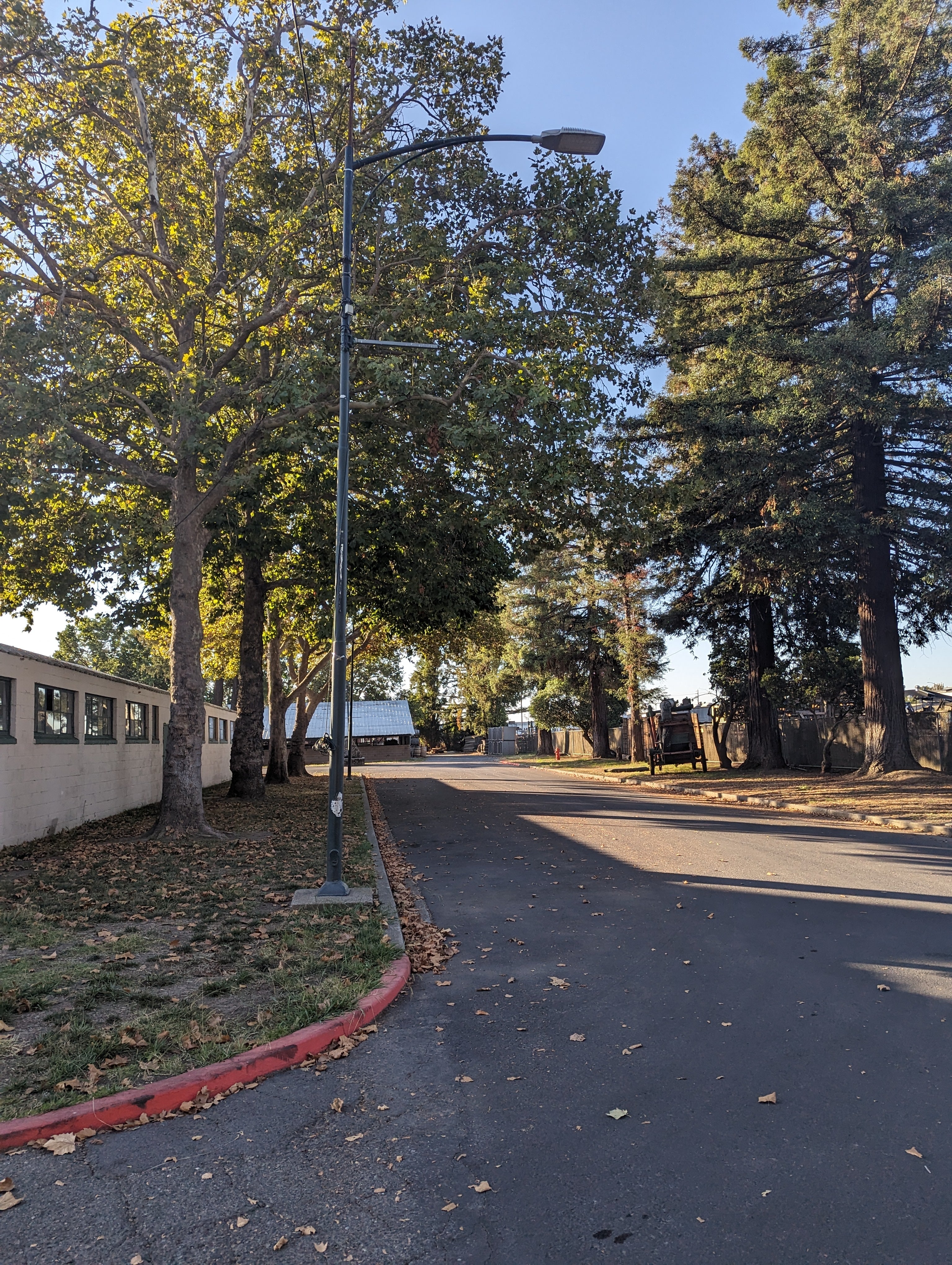 Camper submitted image from Napa Valley Expo RV Park - 4