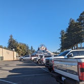 Review photo of Napa Valley Expo RV Park by Kristi D., October 19, 2023