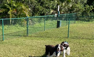 Joel R.'s photo of camping with pets at Naples/Marco Island KOA Holiday near Sanibel, FL