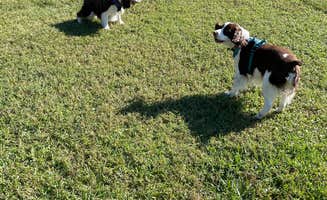 Joel R.'s photo of camping with pets at Naples/Marco Island KOA Holiday near Ochopee, FL