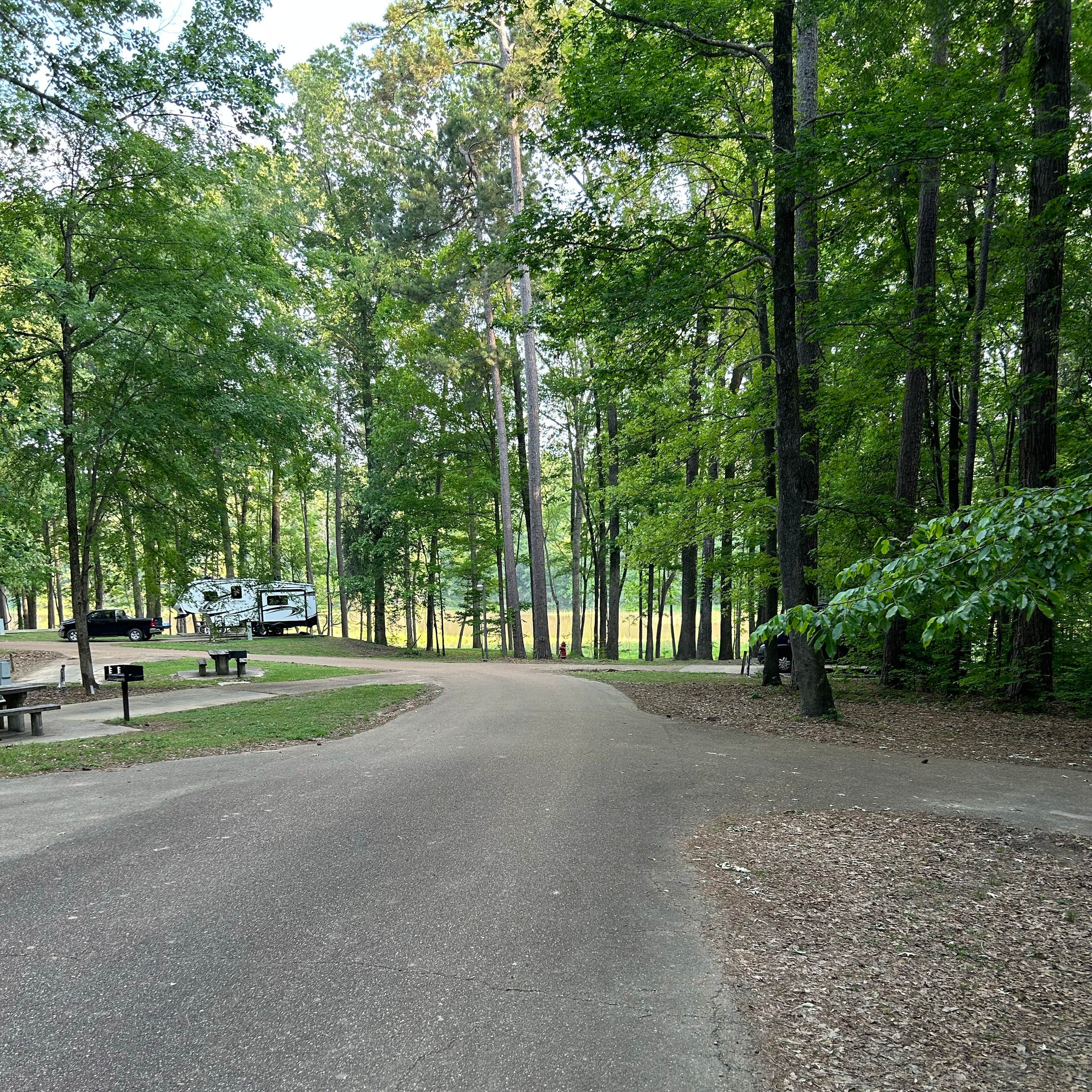 Natchez State Park Campground | Natchez, Mississippi