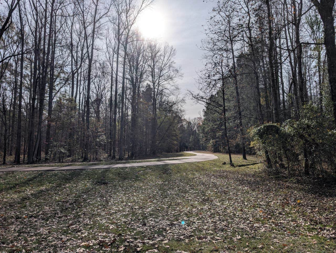 Jack D.'s photo of a dispersed camping area at Natchez Trace Parkway - Rocky Springs near Brandon, MS