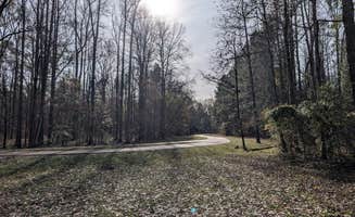 Jack D.'s photo of a dispersed camping area at Natchez Trace Parkway - Rocky Springs near Wesson, MS