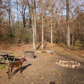 Review photo of Natchez Trace Parkway - Rocky Springs by Jack D., December 16, 2025