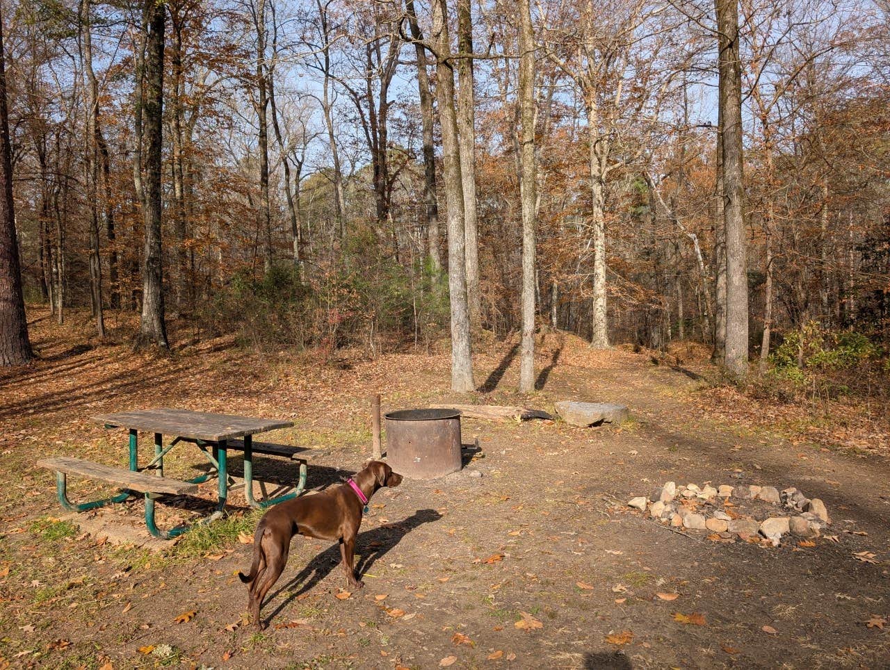 Camper submitted image from Natchez Trace Parkway - Rocky Springs - 4
