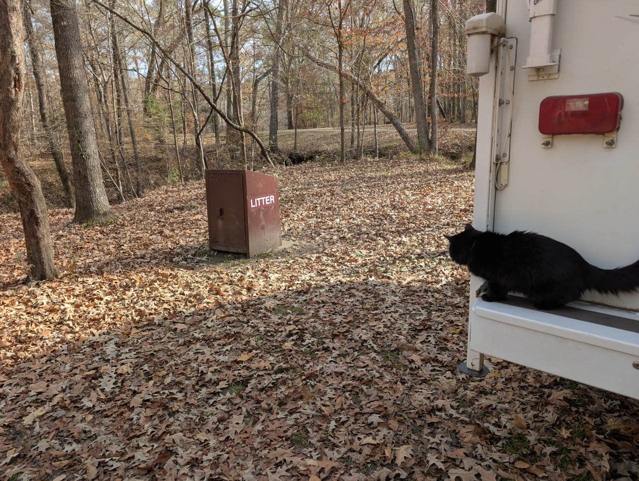 Camper-submitted photo at Natchez Trace Parkway - Rocky Springs near Brandon, MS