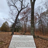 Review photo of Thousand Trails Natchez Trace by Angela B., November 18, 2023