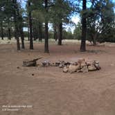 Review photo of National Forest 418 by Randall B., April 13, 2026