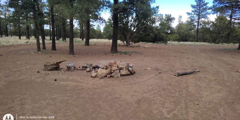 Camper submitted image from National Forest 418